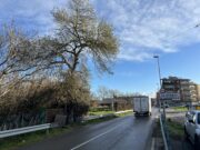 L’Ajuntament de la Bisbal d’Empordà i el Servei Català de Trànsit signen un nou conveni per a la seguretat viària