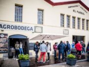 El festival Vívid 2026 impulsa l’enoturisme saludable amb una variada oferta d’activitats