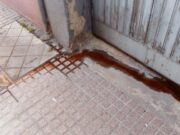 Indignació a Palafrugell per un possible sacrifici d’animals en un domicili