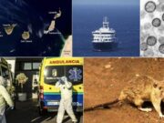 L’Institut Coordenades alerta del risc de col·lapse reputacional per a Canàries per la crisi del creuer MV Hondius
