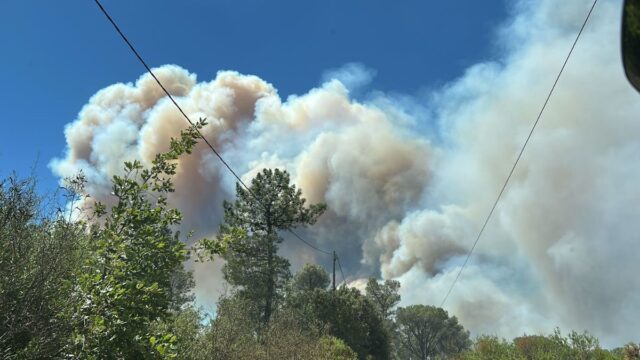 Imatge del foc empès pel vent i amb focus secundaris (Bombers)